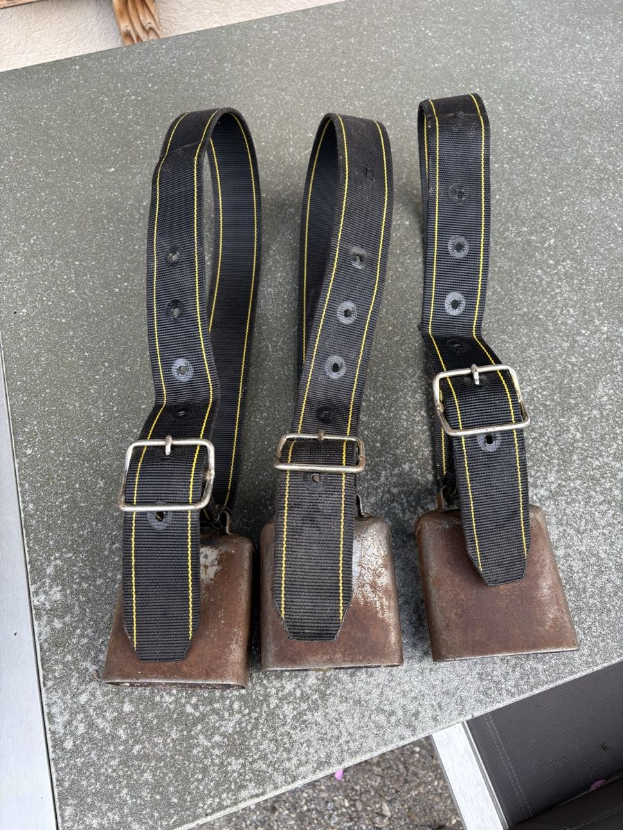 Glocken & Treicheln: 3 Gotthardt NR 3 – Gebraucht aus Schangnau von Roseggli82 1