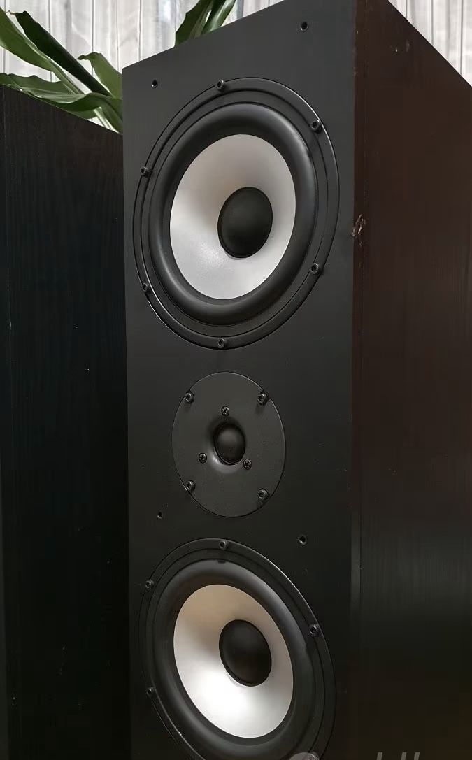 Dual Casse acustiche: Dual LS 80 Standlautsprecher  – Usato da Trimbach venduto da ELITA-5 7