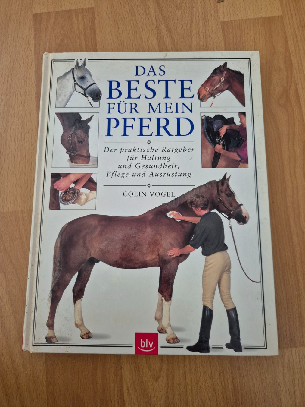 Brides, licols: Pferdefachbuch – Neuf (Voir description) à Meggen par Orrinka20