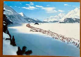 AK: Sils - Engadiner Skimarathon - Die Langläufer