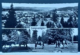 JU, Saignelégier, Jura