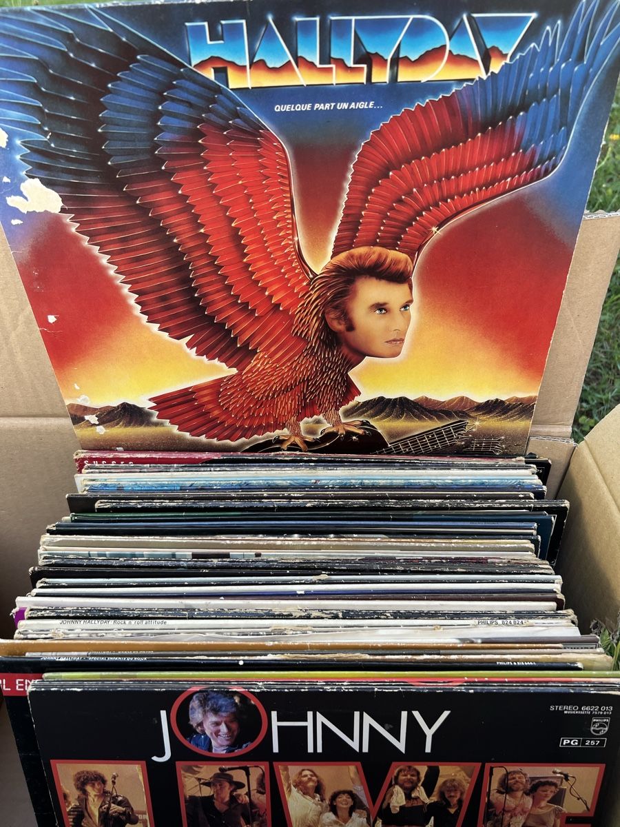 Dischi in vinile: Vinyl collection johnny Hallyday  – Usato da Biel/Bienne venduto da val_m5my 1