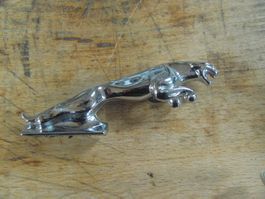 JAGUAR Kühlerfigur 180gr massiv gebraucht