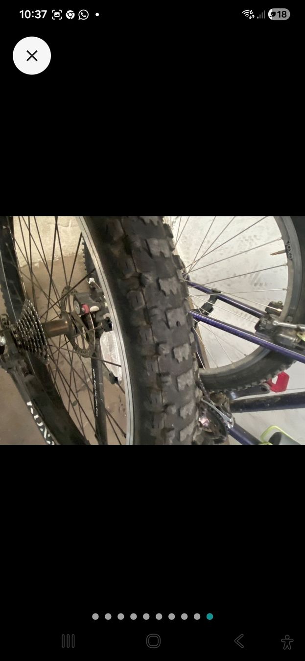 Kona Biciclette: kona minxy velo – Difettoso da Bussnang venduto da Mk5power 8