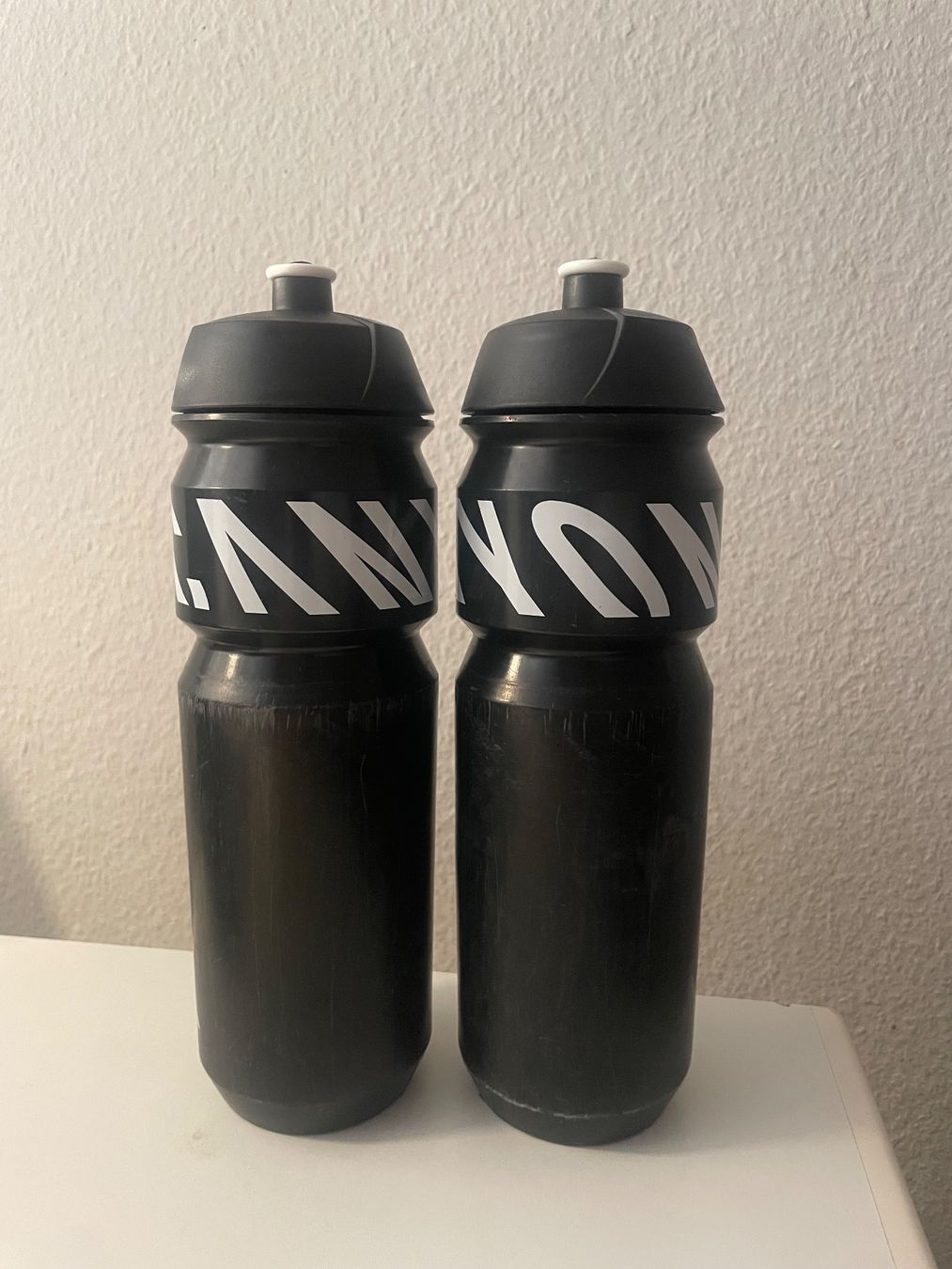 Borracce & Thermos: Canyon Flaschen (2x) – Usato da Wettingen venduto da Sloettler