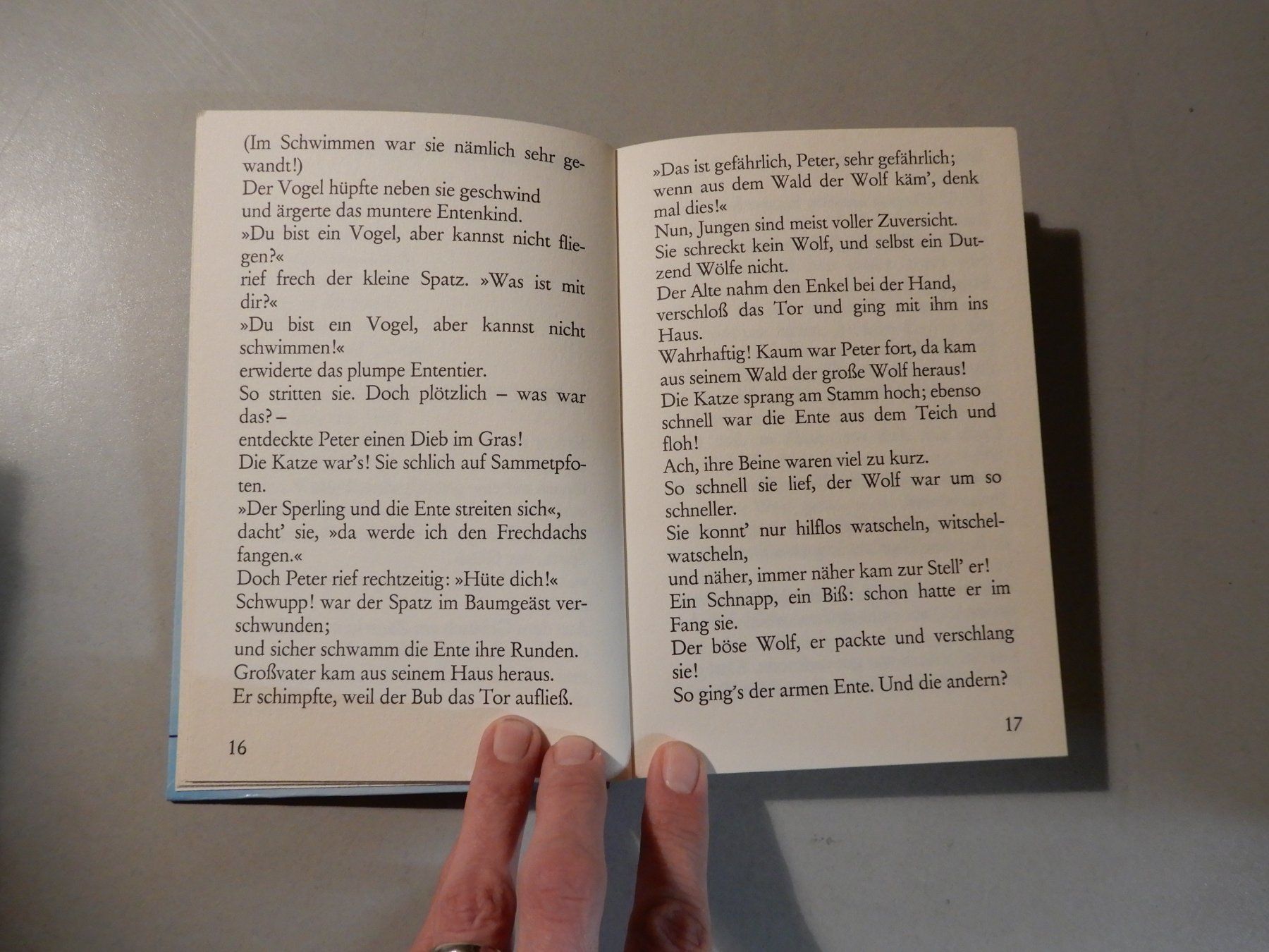 Libri: Guten Morgen, liebe Sonne - Kinderbuch – Nuovo (secondo la descrizione) da Erstfeld venduto da Mario_boe0 6