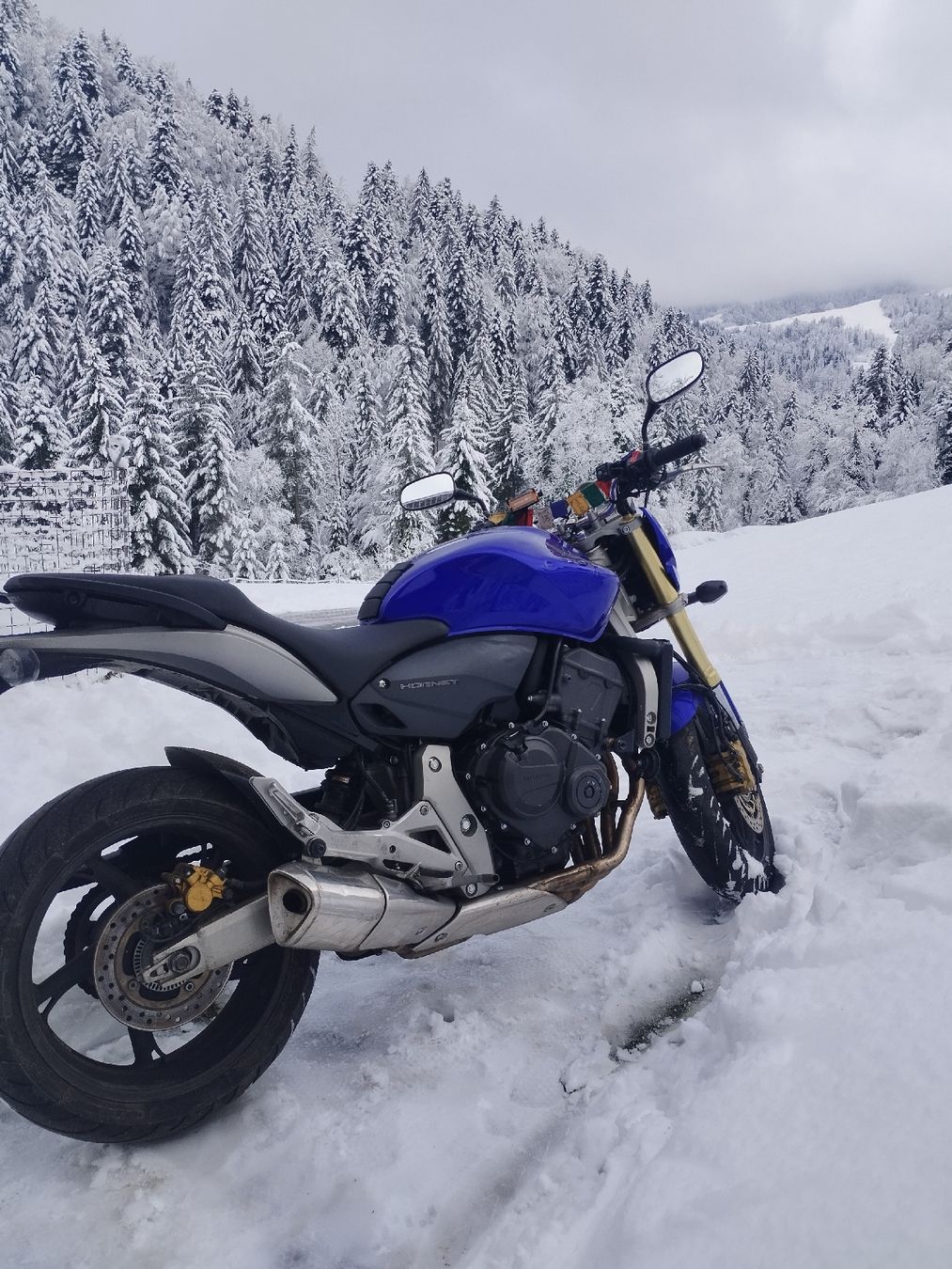 Honda Strada: Honda Hornet CB600FA 25kW Kat.-A – Usato da Fischenthal venduto da JURIGINAL 2