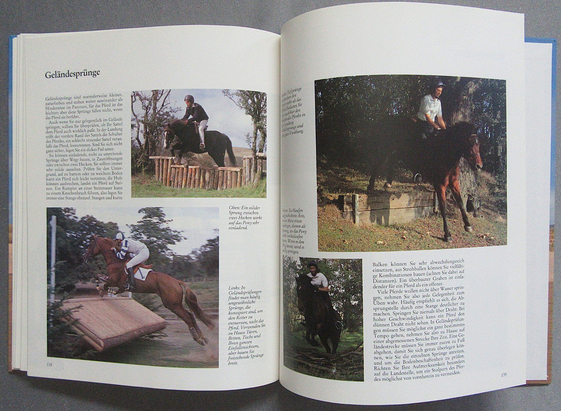 Libri: Reiten - perfekt gelernt - moderne Reitlehre – Usato da Auenstein venduto da Padabimbim 8