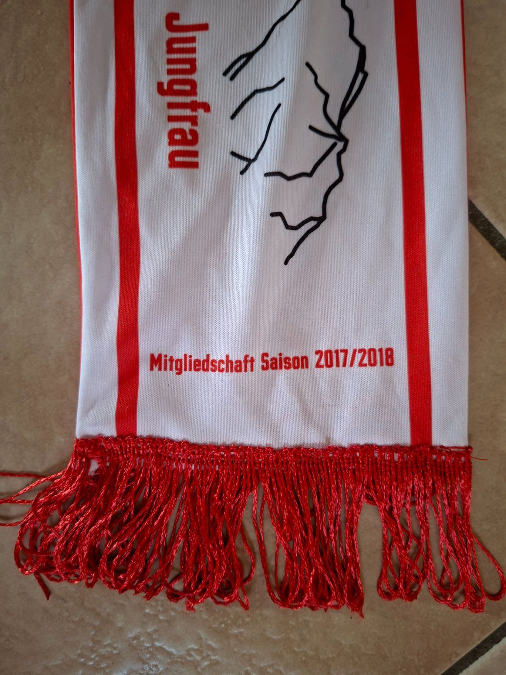 FC Thun Foulard & Sciarpe: FC Thun Fan Schal – Usato da Schwanden Sigrisw venduto da cadieux71 5