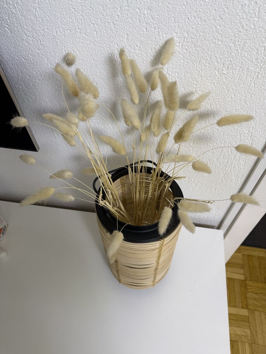 Vasi & Recipienti: Dekovase – Usato da Gossau SG venduto da cuk_fyc6 1