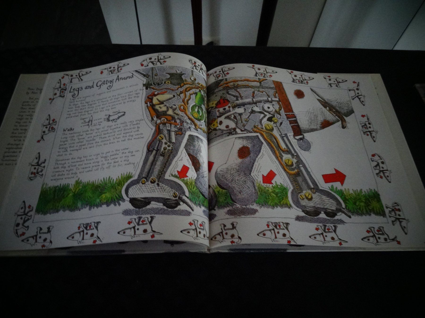 Bücher: How Dogs Really Work – Gebraucht aus Neerach von jenny062 7