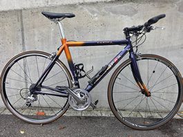Trekking Bike / City Bike / Rennrad