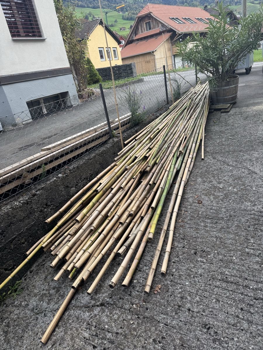 Holzartikel: Bambus-Stangen – Gebraucht aus Altdorf UR von Gleisel