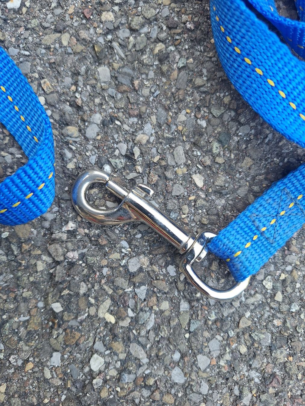 Guinzagli & Collari: Schleppleine Blau 6 Meter – Usato da Forch venduto da merlotpomerol 1