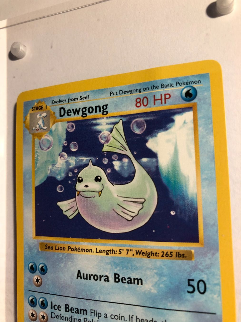 Carte collezionabili: Dewgong (uncommon) Base Set Shadowless - PL - ab 1.- – Usato da Giubiasco venduto da dan_pr8b 3