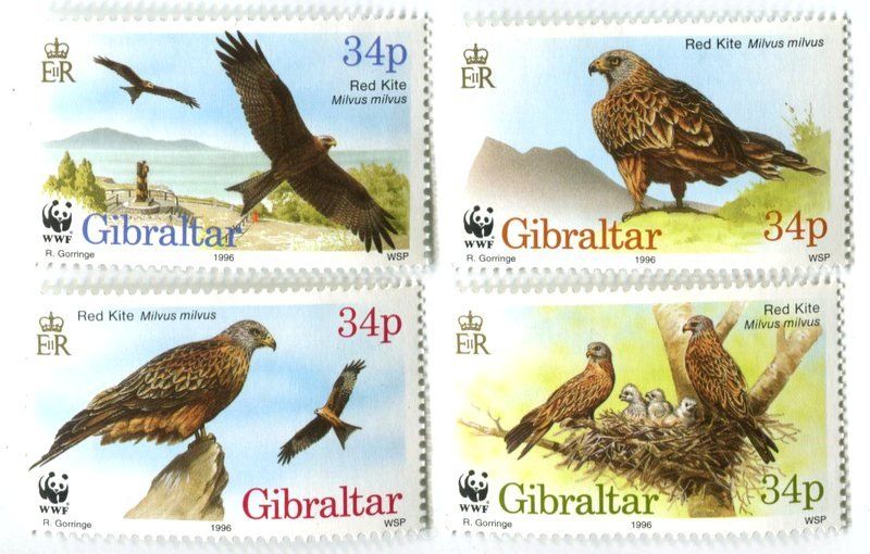 Tous les timbres: Briefmarken "Rotmilan". Gibraltar – Neuf avec emballage d'origine à Basel par Butsch5