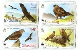Briefmarken "Rotmilan". Gibraltar
