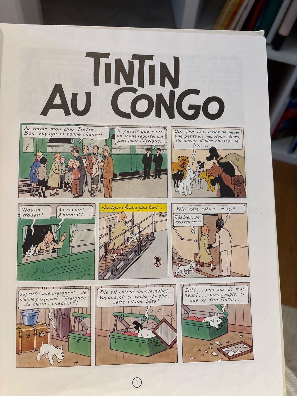 Fumetti: Tintin , Tim und Struppi au Congo – Usato da Nottwil venduto da Mountainbiker63 1