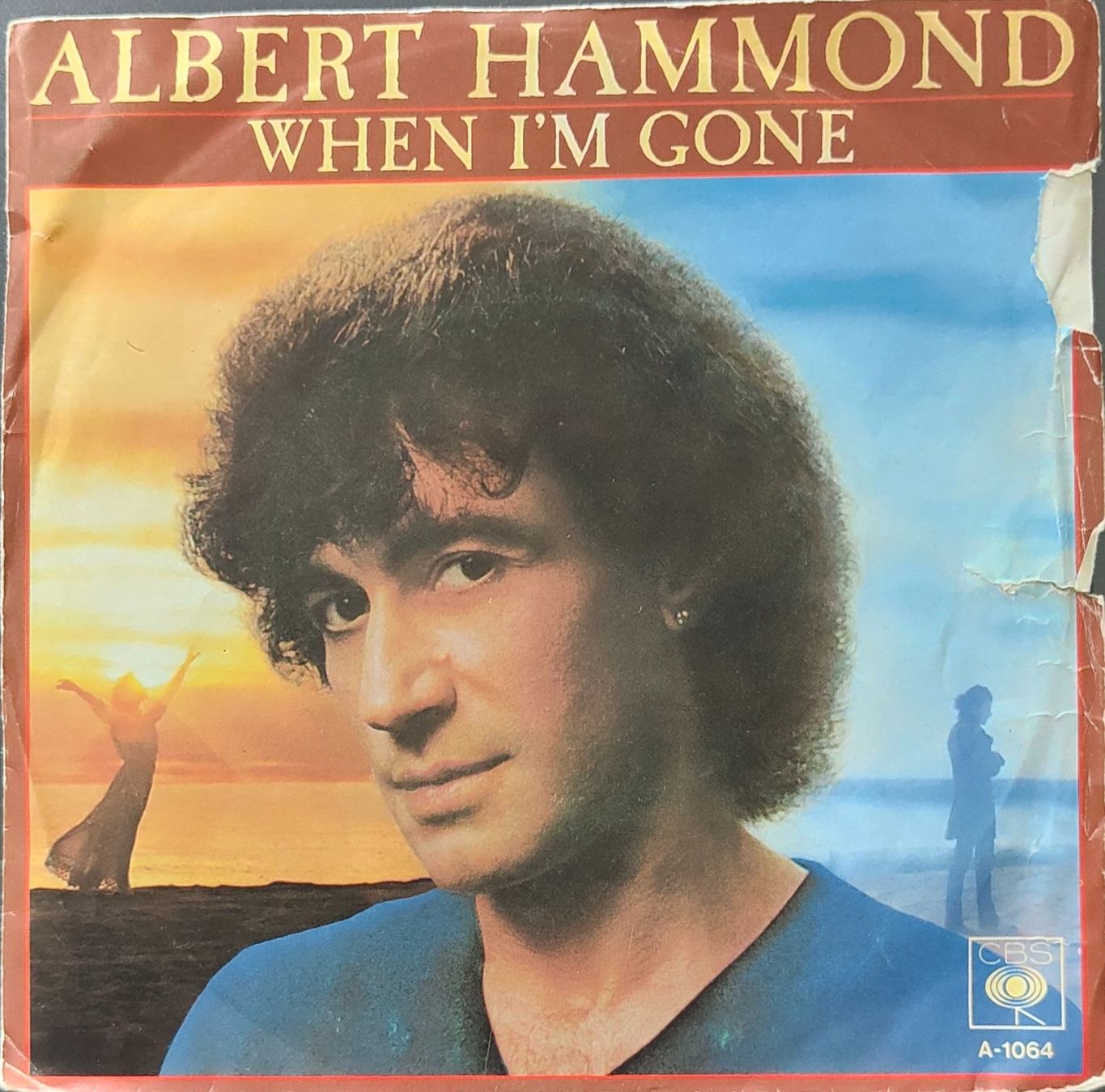 Dischi in vinile: Vinyl Single Albert Hammond - When I'm Gone – Usato da Langenthal venduto da Modo39