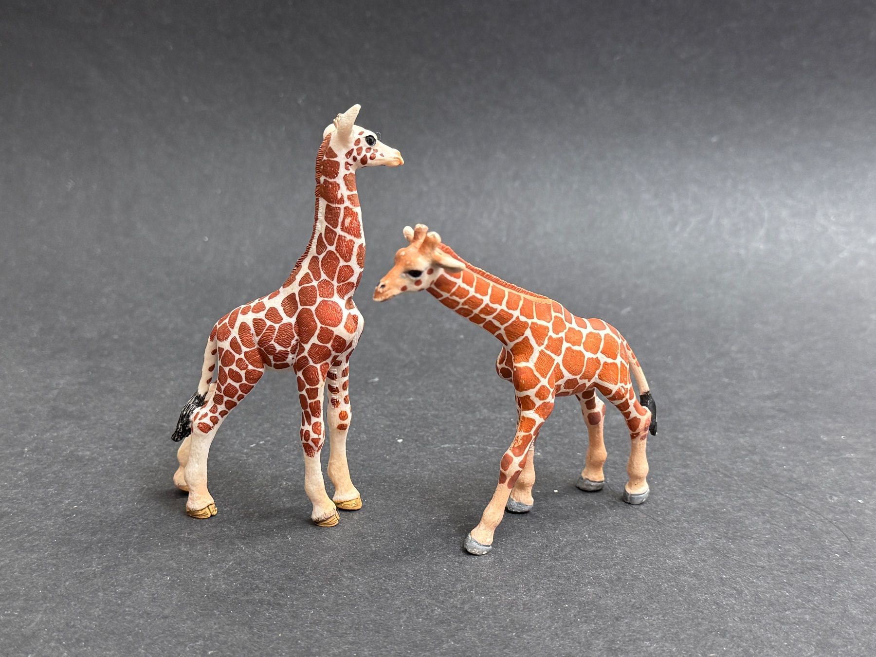 Schleich Statuette: 5 Schleich Giraffen Giraffe Tiere – Usato da Ennetbaden venduto da mapa05 4