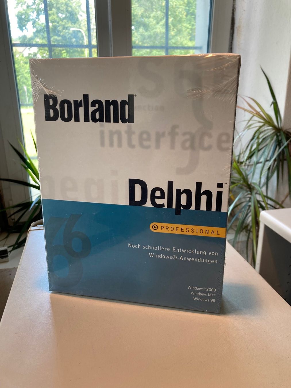 Software: Borland Delphi 6.0. Professional originalverpackt – Nuovo e nell'imballaggio originale da Bäretswil venduto da Nanobit