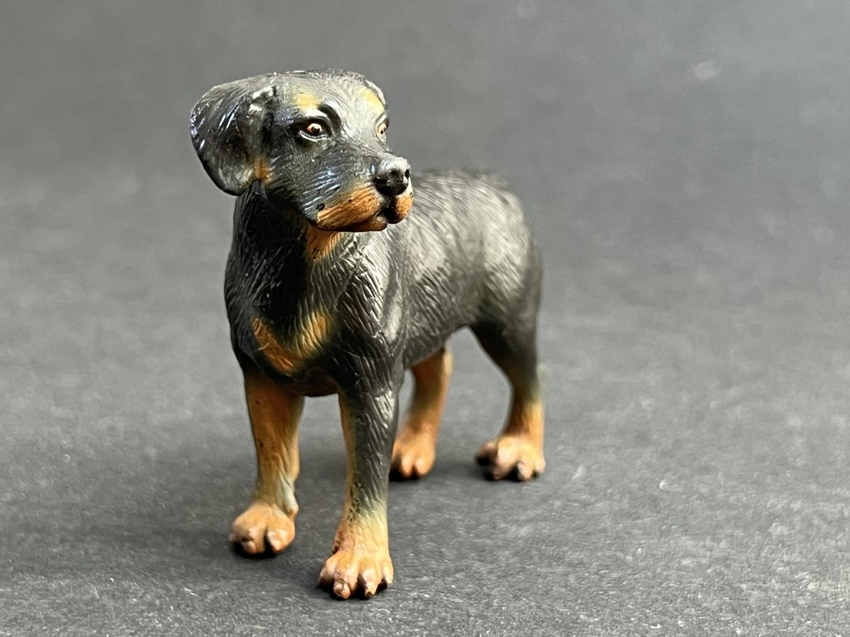 Schleich Statuette: Schleich Rottweiler Hund 16325 – Usato da Ennetbaden venduto da mapa05 5