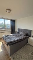 BOXSPRINGBETT 160/200 cm, Grau  inkl. Matratze & Topper