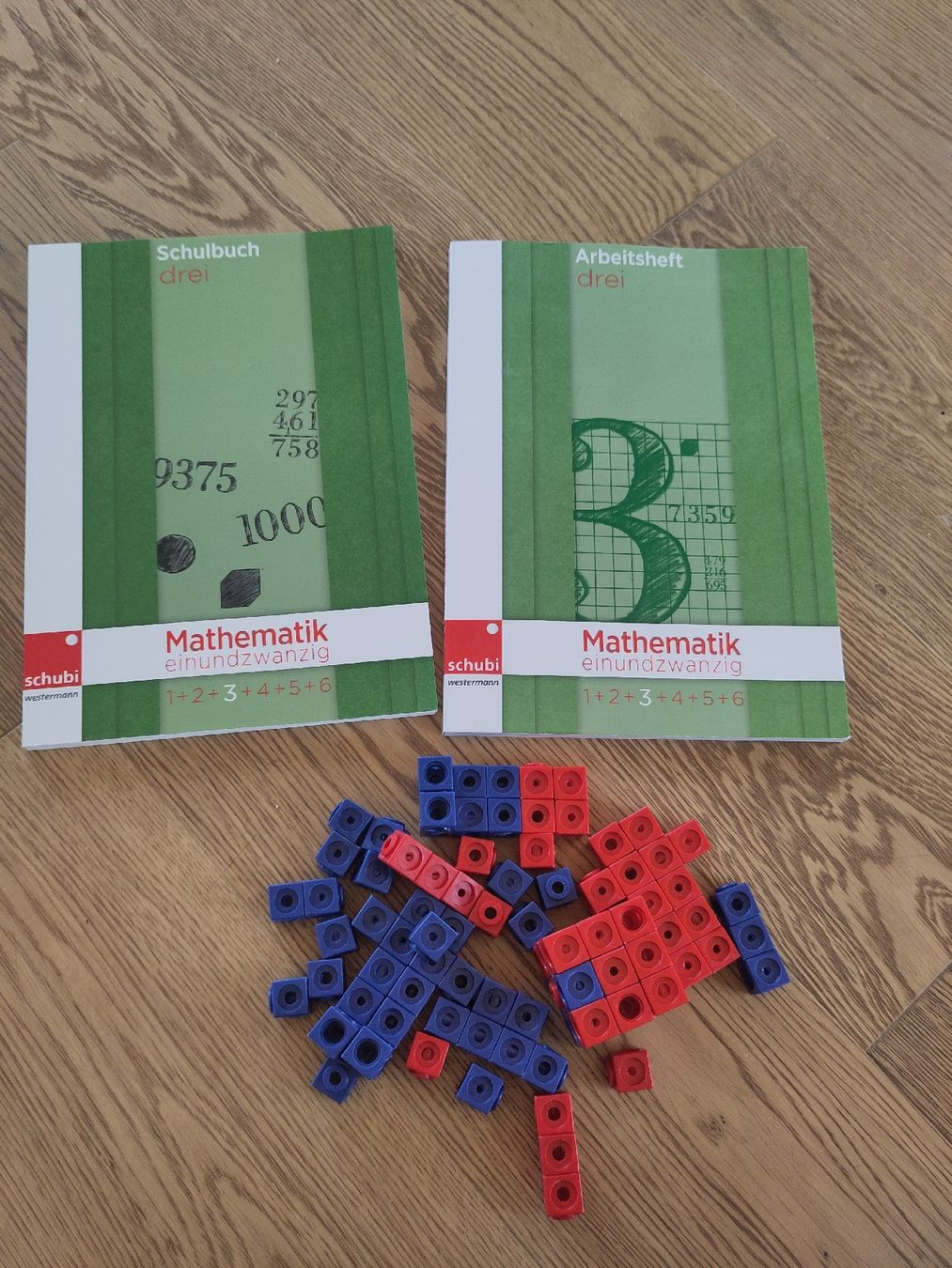 Libri: Mathematik einundzwanzig, Arbeits- & Schulbuch & Steckwürfel – Nuovo (secondo la descrizione) da Dettighofen Lengw. venduto da mai_75wt
