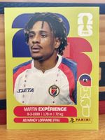 Panini Martin Expérience sticker wm 2026 hai 4