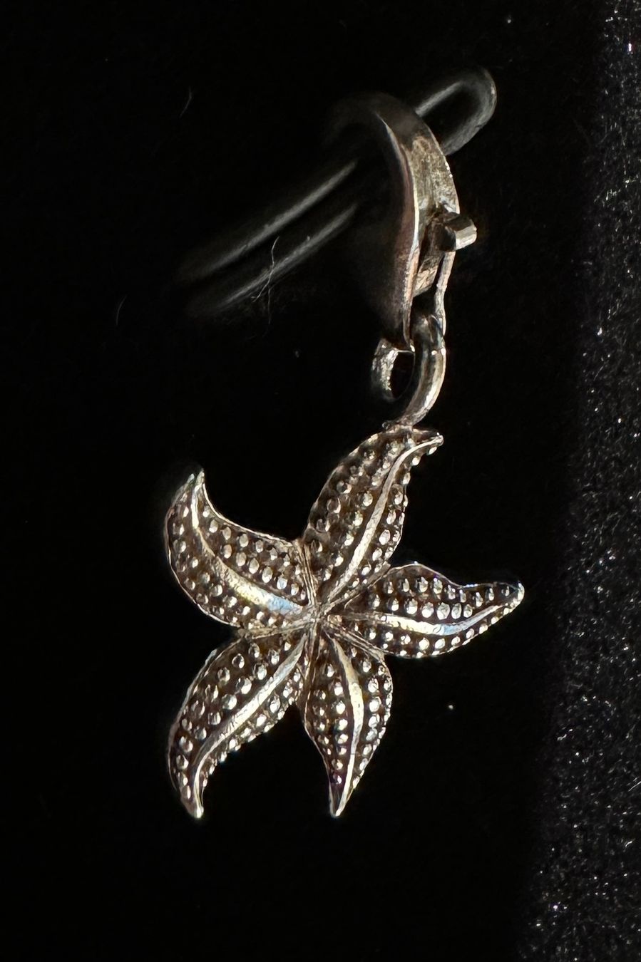Thomas Sabo Anhänger: Thomas Sabo Charm Seestern Silber 925 – Gebraucht aus Wildberg von TradeMe 1