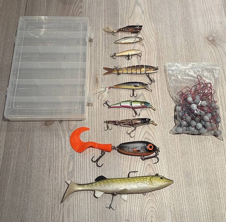 Esche: Diverse Hardbaits – Usato da Leibstadt venduto da tho_l56l