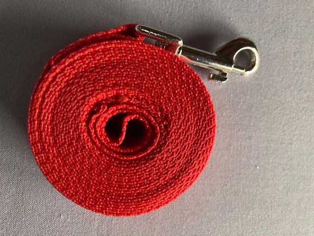 Guinzagli & Collari: Hunde Schleppleine 1,7 m – Nuovo e nell'imballaggio originale da Matt venduto da Westigruppe