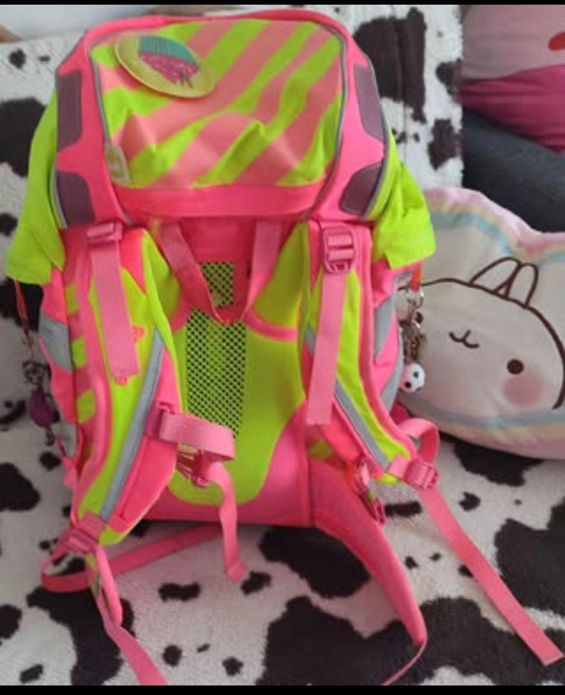 Ergobag Borse & Zaini: Ergobag Limit edition Rucksack für Mädchen – Usato da Winznau venduto da zap_y6wx 2