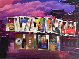 🔥🔥Paninibilder von der EM 2008 - Deutsch - PANINI 🔥🔥
