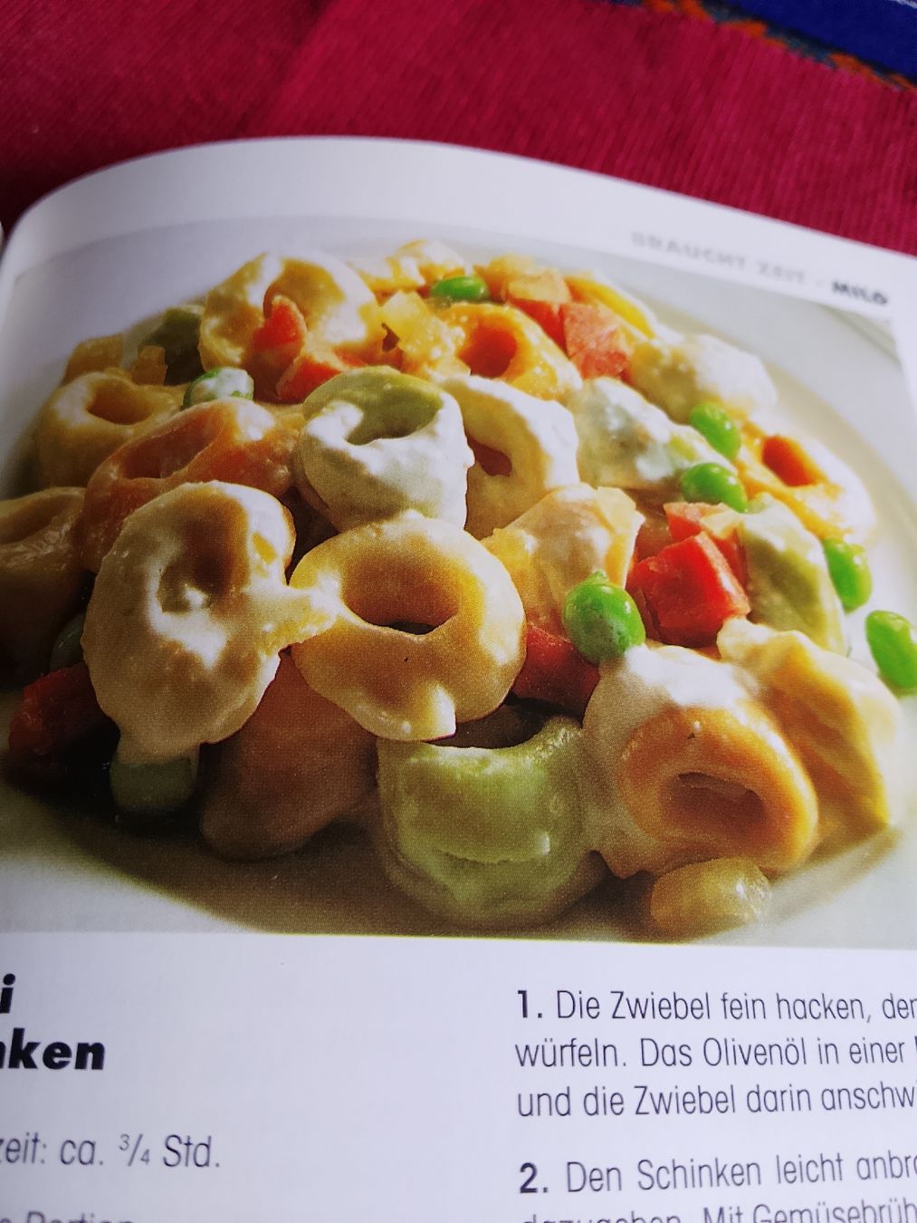 Libri: Nudelgerichte  – Usato da Volken venduto da katz5 1