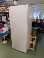 Bosch Gefrierschrank Serie  | NoFrost | 328L | neuwertig