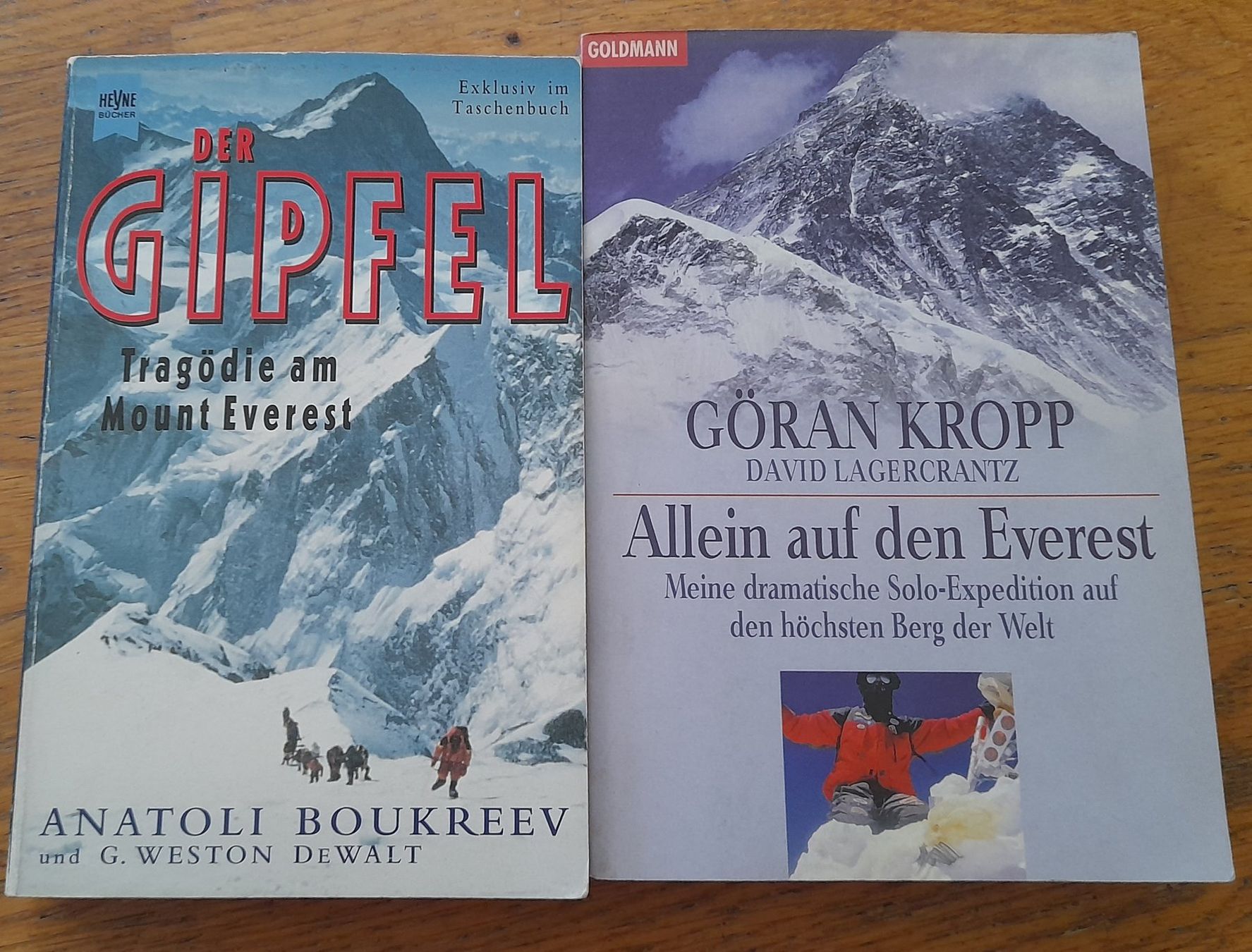 Libri: Der Gipfel & Allein auf den Everest – Usato da Rüegsauschachen venduto da lis_qql9