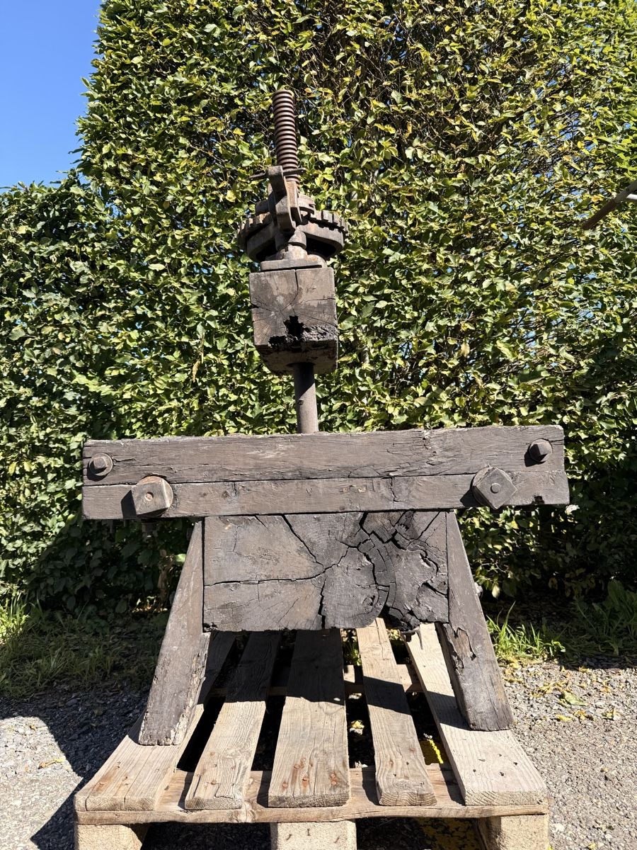 Tutte le macchine: Alte Holzpresse, Apfelpresse, antik, robust – Usato da Bonstetten venduto da TheSecretGarden 2