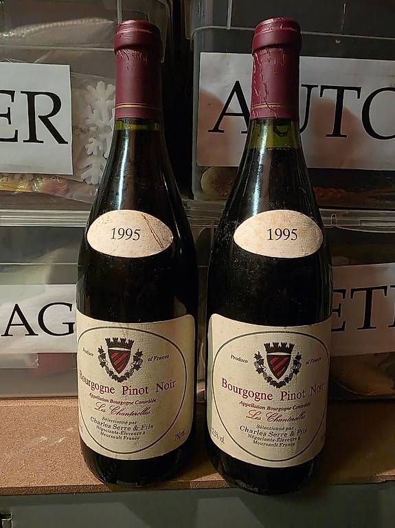 Vino: Bourgogne pinot noir 1995 – Usato da Genève venduto da Luca.23