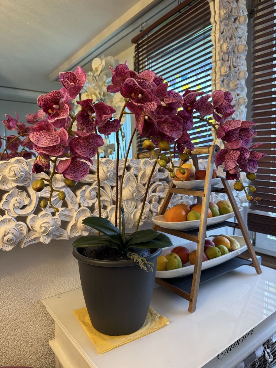 Tutte le decorazioni: Künstliche Orchideen lilac New – Nuovo (secondo la descrizione) da Zürich venduto da Privat4444 4
