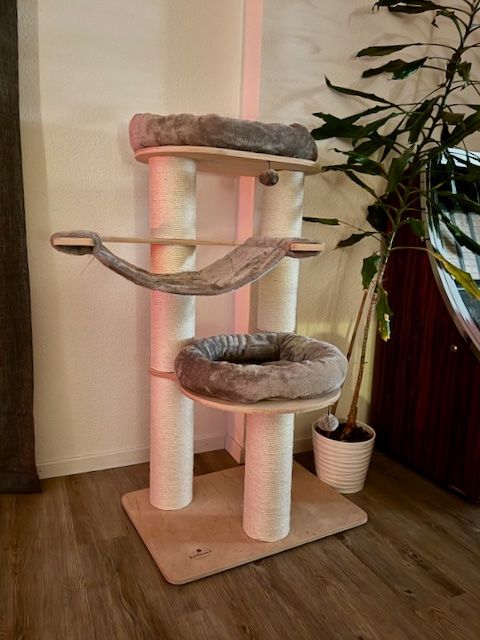 Wunderschne Kratzbaum Stark Reduziert Fotos