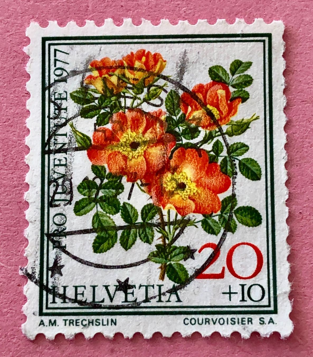 Tutti i francobolli: Nr. J 261  Briefmarken Gestempel 1977 – Usato da Aarau venduto da Billa007