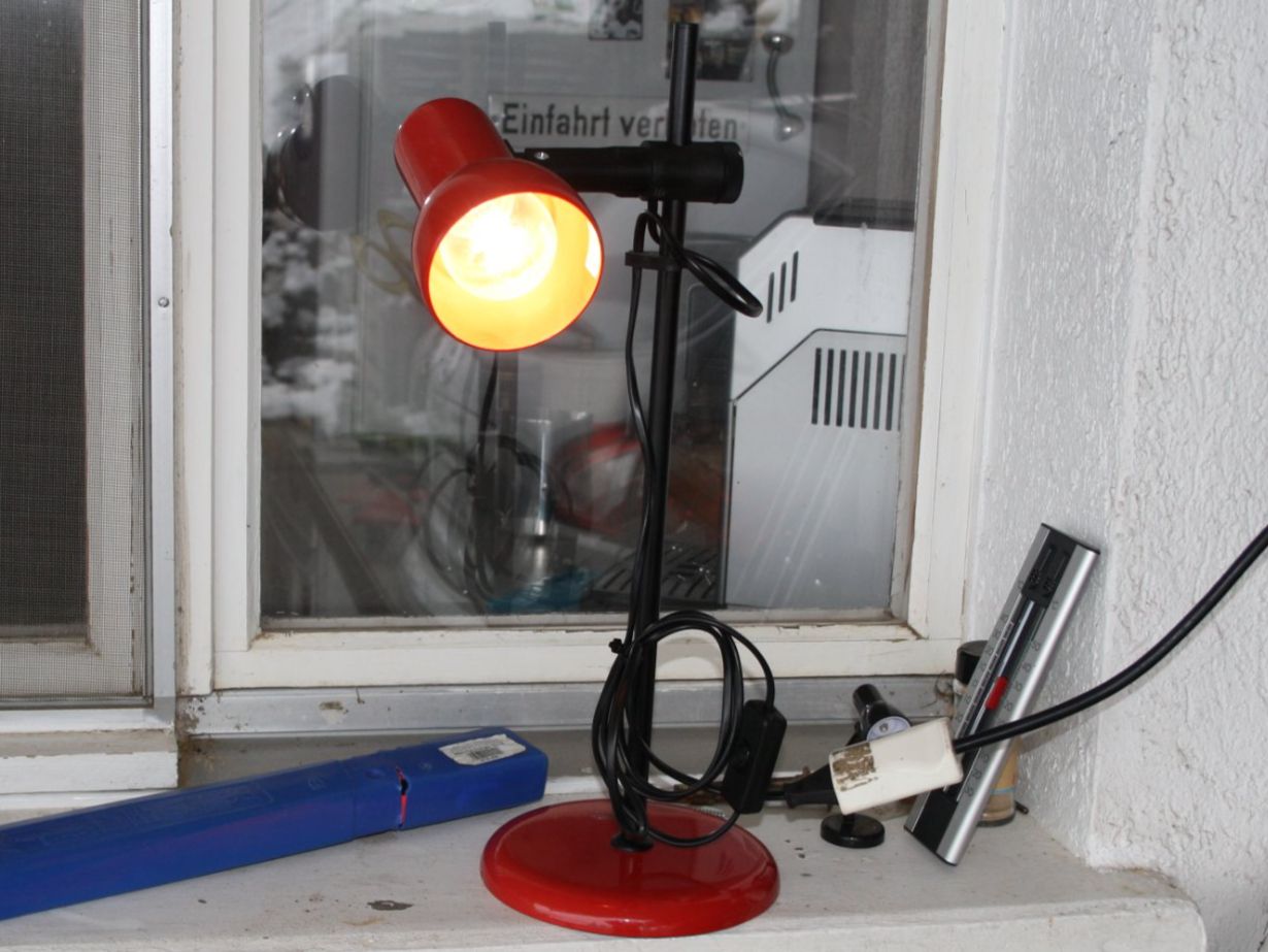 Lampade: VINTAGE TISCH LAMPE DESIGNKLASSIKER FAST 47cm. – Usato da Wauwil venduto da Pneuedy 2