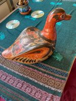 Magnifique Canard
