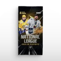 Sportzoo National League 25/26 - Playoffs - TOP SCORER