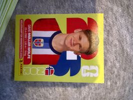 Carte Panini FIFA World Cup 2026 NOR 7 David Møller Wolfe