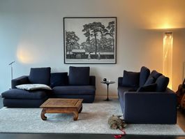 Minotti Sofakombination