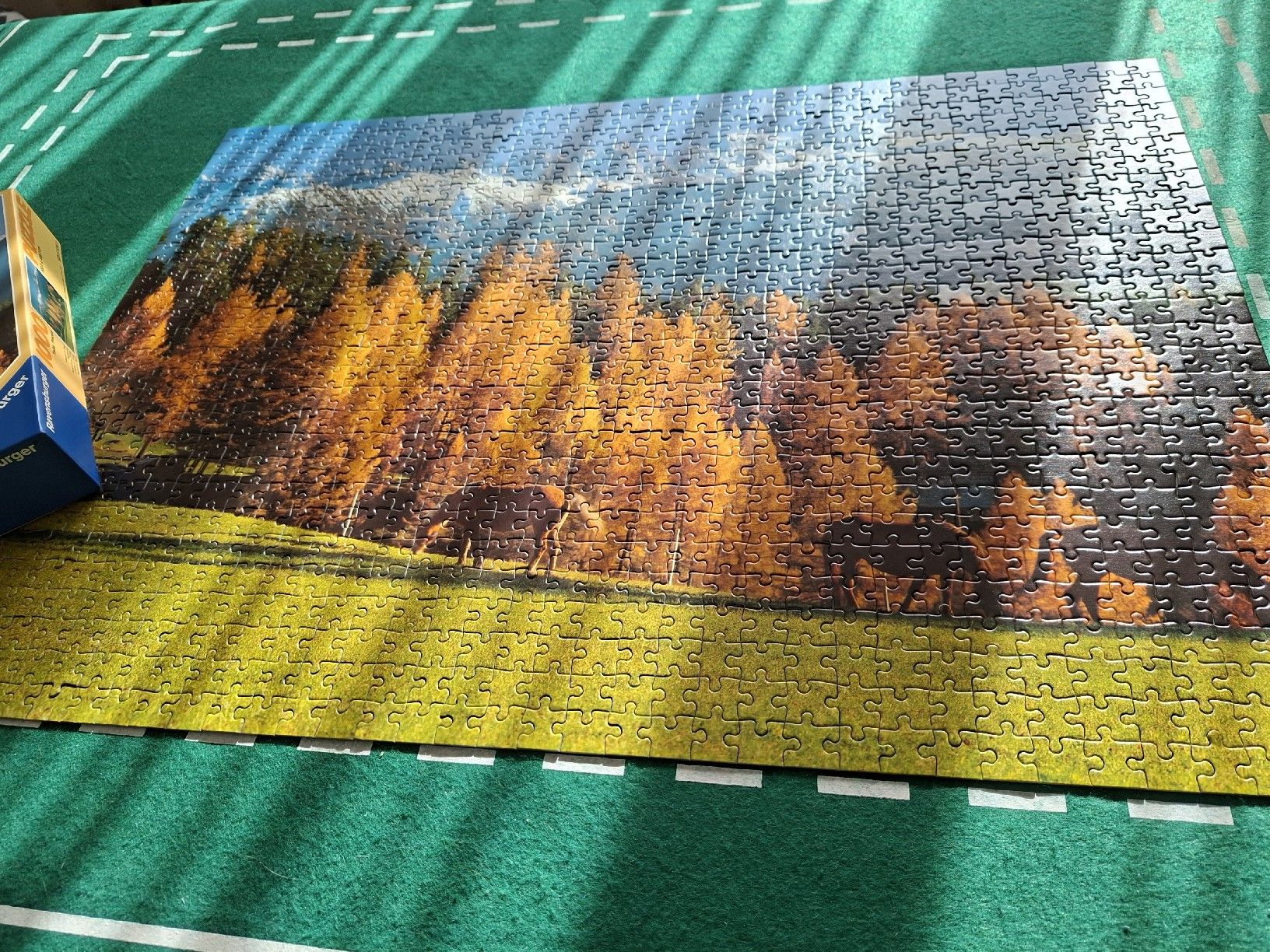 Ravensburger Puzzle: Ravensburger Puzzle 1000 Teile – Usato da Emmenbrücke venduto da Minejapa 1