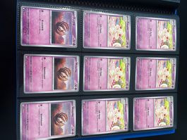 Pokemon Kartensammlung