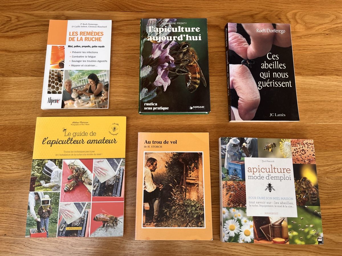 Libri: Livre apiculture abeilles – Nuovo (secondo la descrizione) da Peney-le-Jorat venduto da firejoe